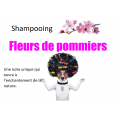 Shampooing Fleurs de pommiers 